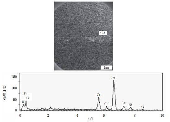 5df84feada488.jpg 7.jpg