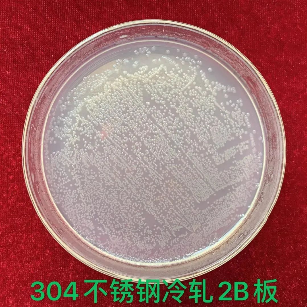 無錫不銹鋼板價格,201不銹鋼,無錫不銹鋼,304不銹鋼板,321不銹鋼板,316L不銹鋼板,無錫不銹鋼板 無錫不銹鋼板價格,201不銹鋼,無錫不銹鋼,304不銹鋼板,321不銹鋼板,316L不銹鋼板,無錫不銹鋼板